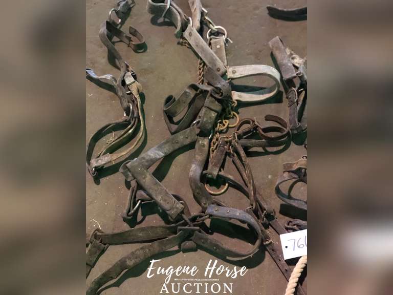 Old draft halters