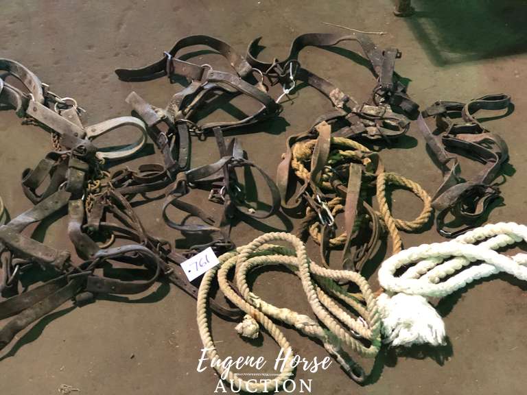 Old draft halters