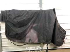 82" turnout
