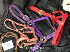 Small halter lot