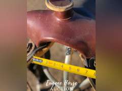 16" saddle