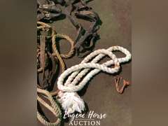 Old draft halters