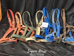 Halter lot
