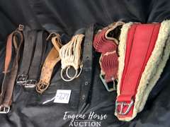 Cinch lot