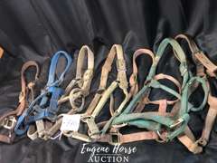 halter lot
