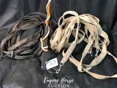 Driving reins, stick n string