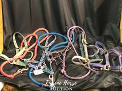 Halter lot