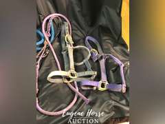 Halter lot