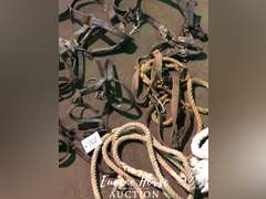 Old draft halters