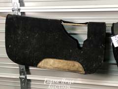 Team equine pad
