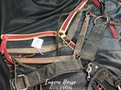 Breastcollar lot