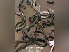 Old draft halters