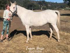 4 saddle pads