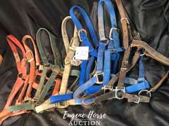Halter lot