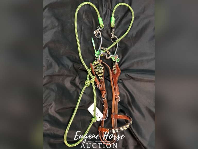 Lime zebra pony bridle
