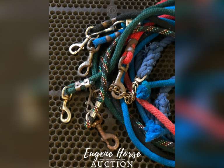 Lead rope lot