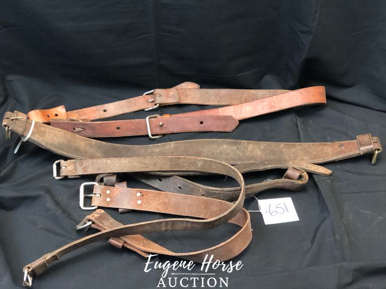 Back cinch lot