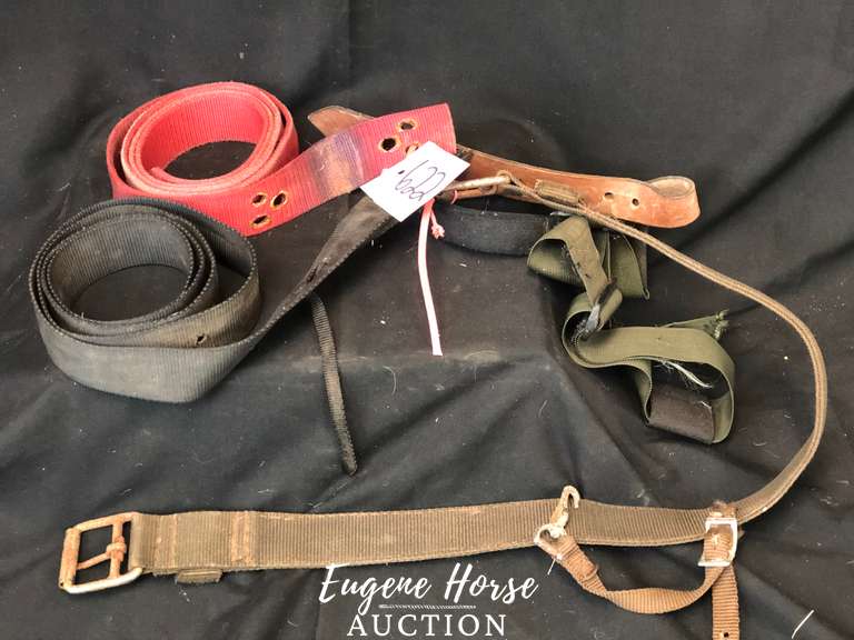 Strap lot
