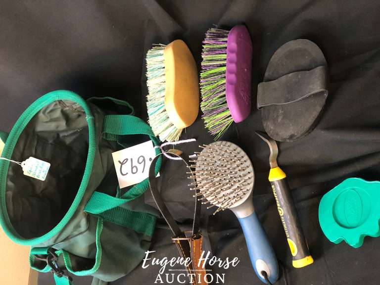 Grooming tote