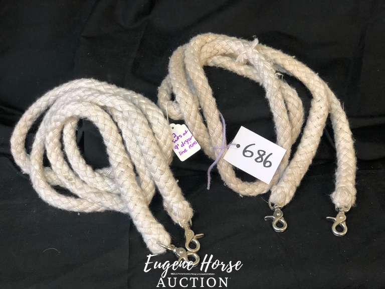 Reins