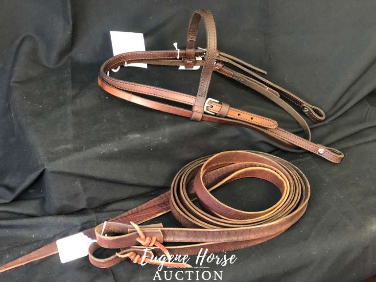 Bridle