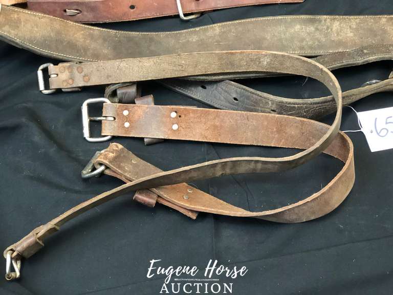 Back cinch lot