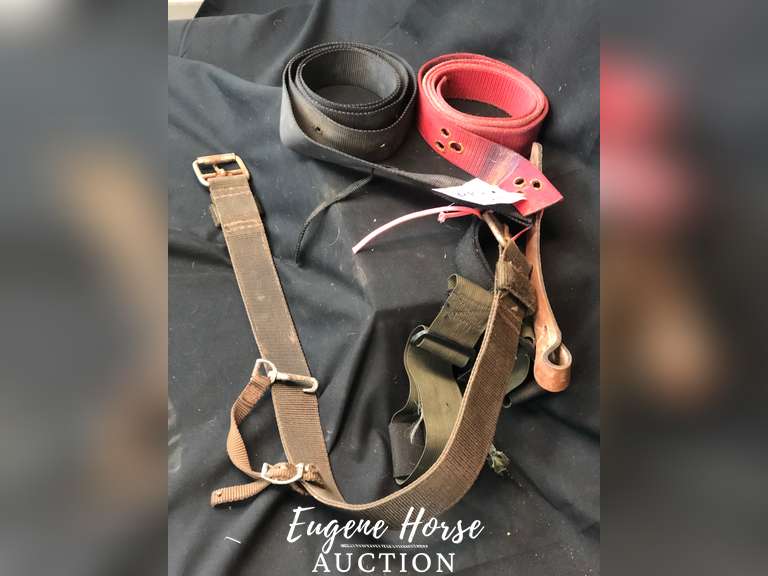 Strap lot