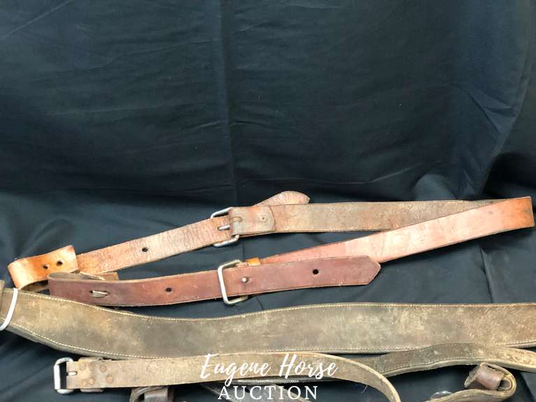 Back cinch lot