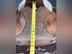 Hereford roper 16"