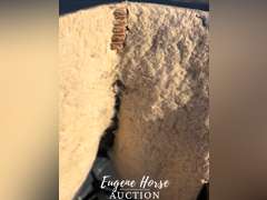 Roper saddle
