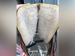 Hereford roper 16"