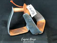Cashel stirrups