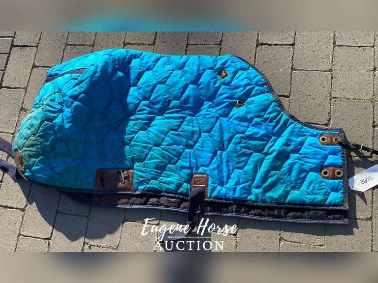 60" Big D Stable Blanket