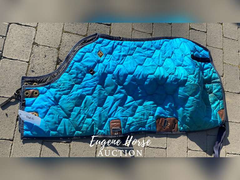 60" Big D Stable Blanket