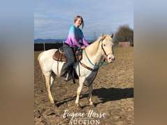 Dash - 18-20yr - 13.2HH - Mare