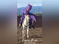 Dash - 18-20yr - 13.2HH - Mare