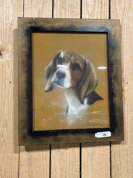 Beagle picture