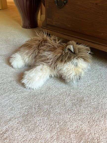 Plush Toys