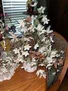 Flower arrangements/clock