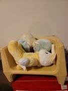 Stuffed animals