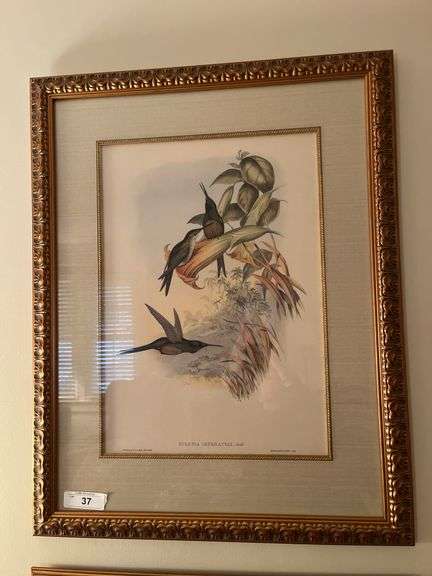 Framed bird print