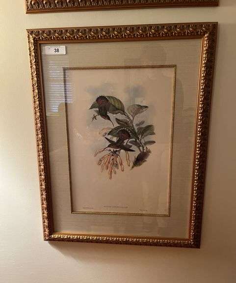 Framed Bird print