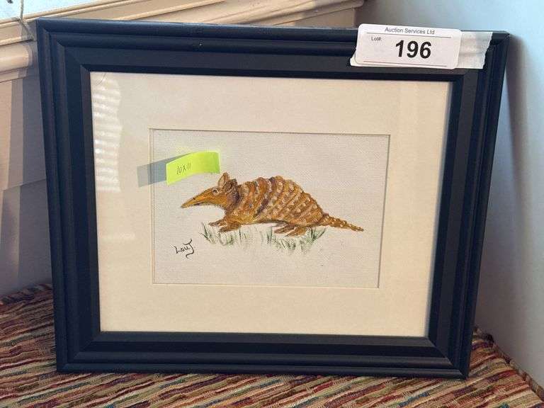 Armadillo Framed Art