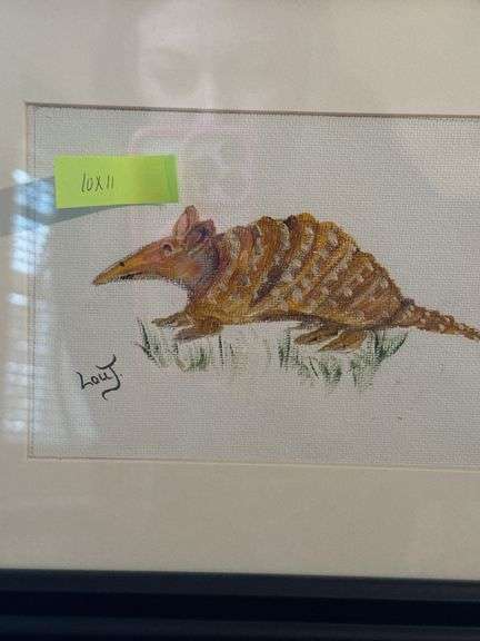 Armadillo Framed Art