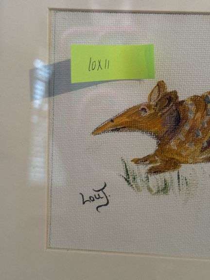 Armadillo Framed Art