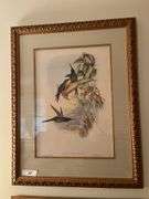 Framed bird print