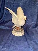 White doves
