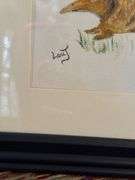 Armadillo Framed Art