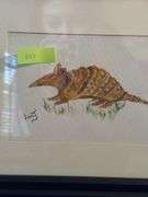Armadillo Framed Art