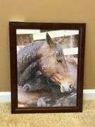 Horse prints